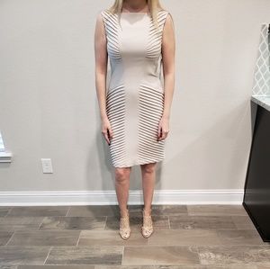 Adrianna Papell dress